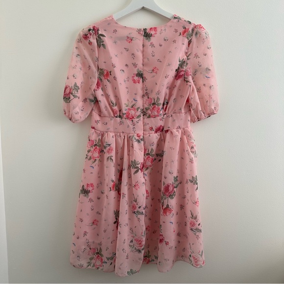 Pink Chiffon Floral V-Neck Dress with Puff Sleeves - Picture 6 of 9